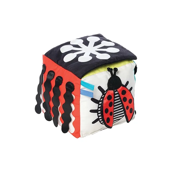 Manhattan Toy Wimmer Discovery Cube