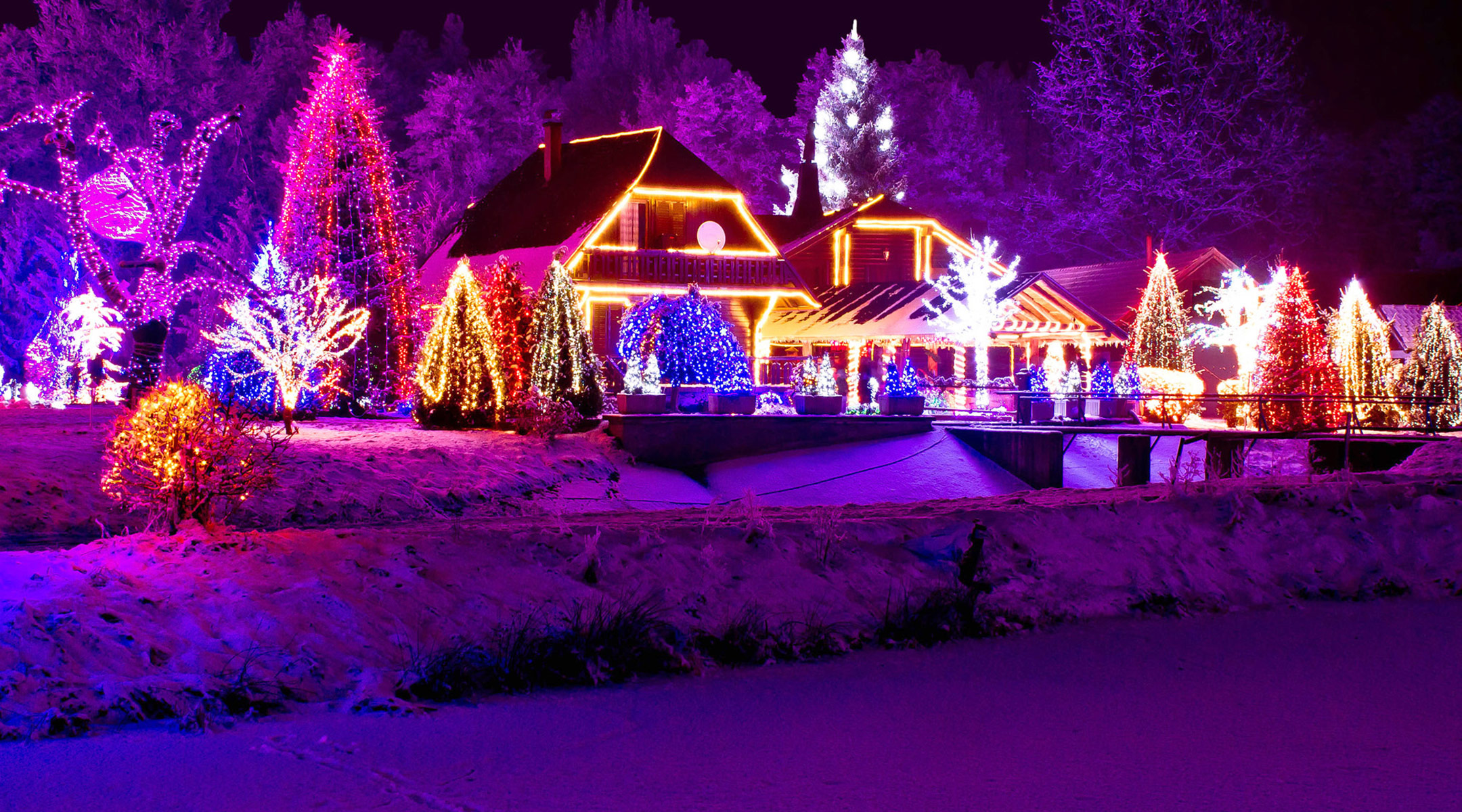 exterior of house decked out in christmas lights