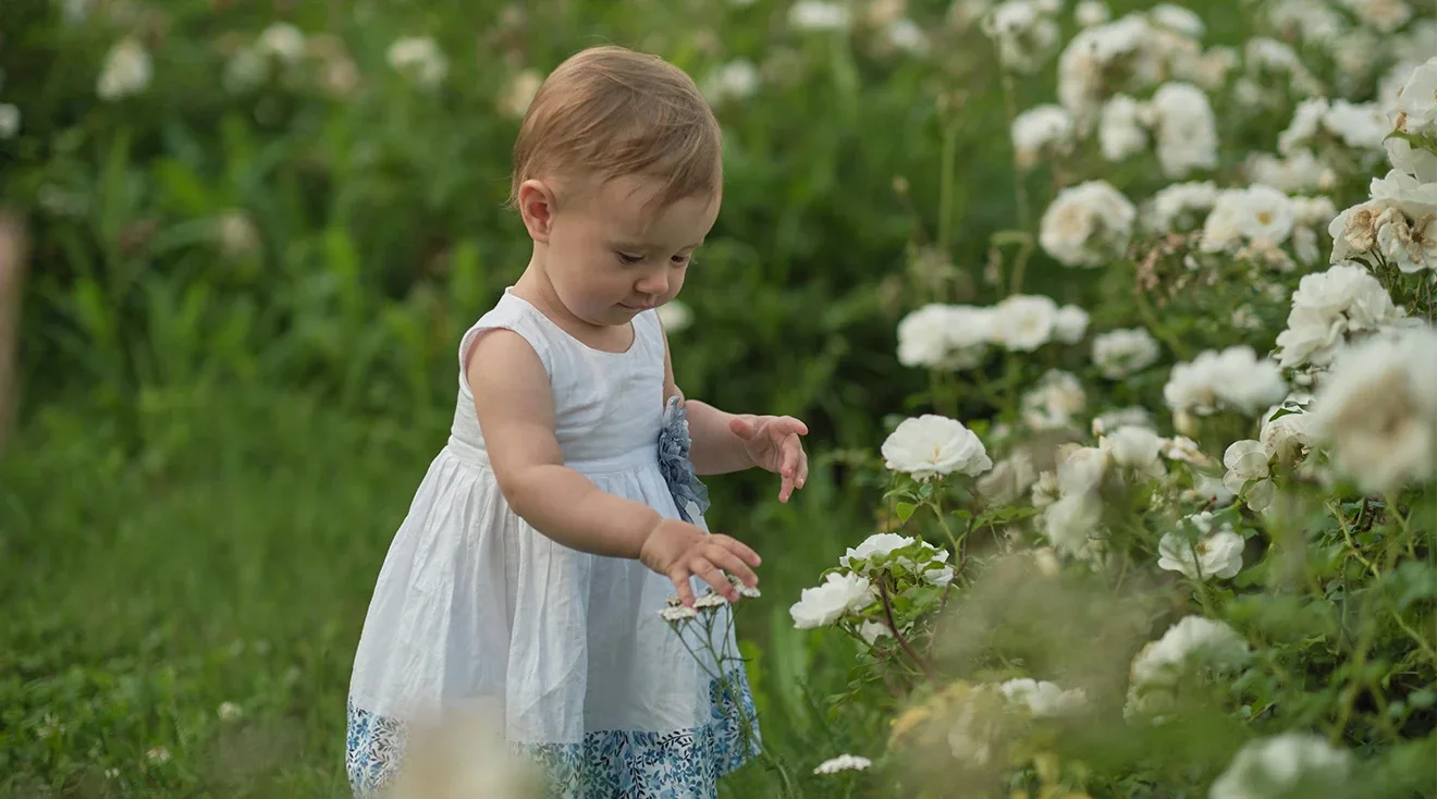 Our Favorite Eco-Conscious Products for Green Households