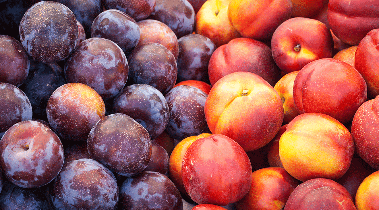 peaches and plums at the market