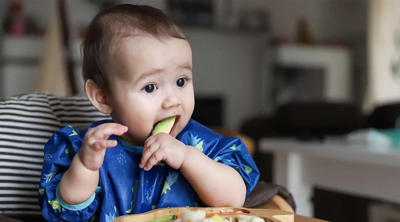baby eating avocado