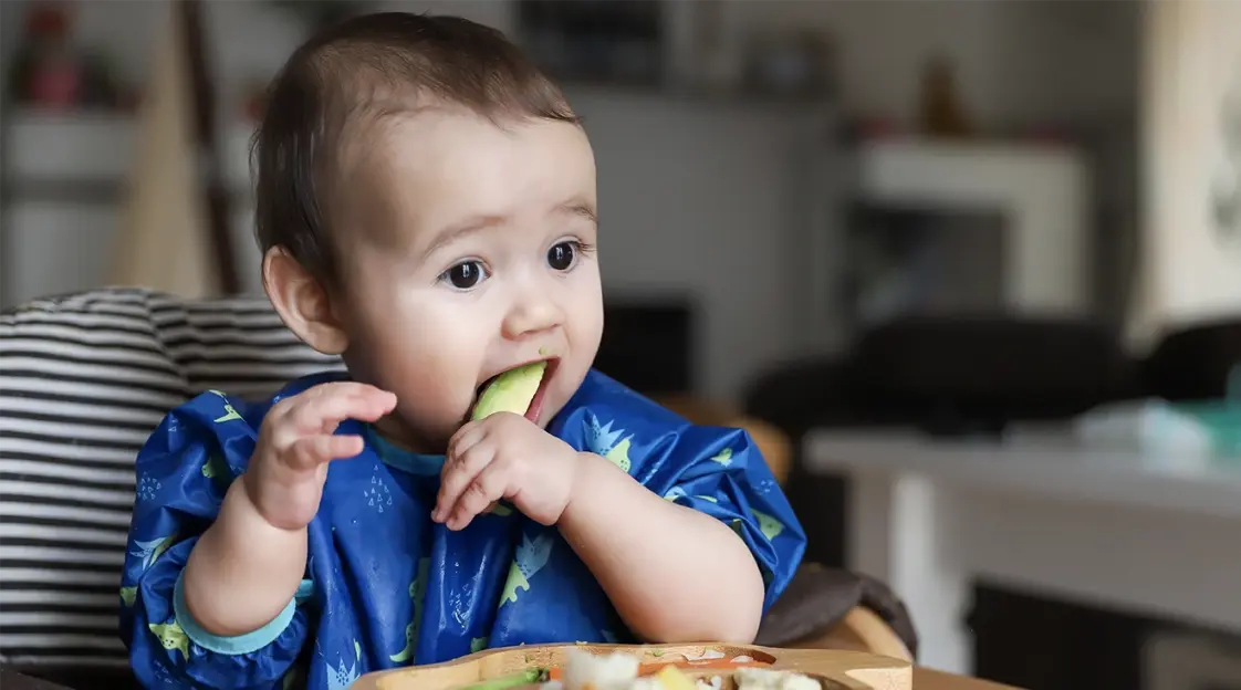 Ultimate Guide to Baby Led Weaning (and Best First Foods)