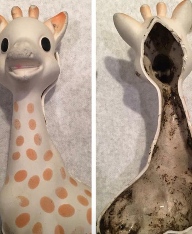 Buy Sophie La Girafe Bath Toy -- ANB Baby