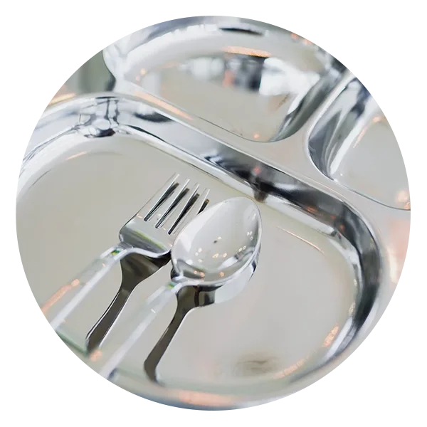Ahimsa Balanced Bites Stainless Steel Plates in Classic