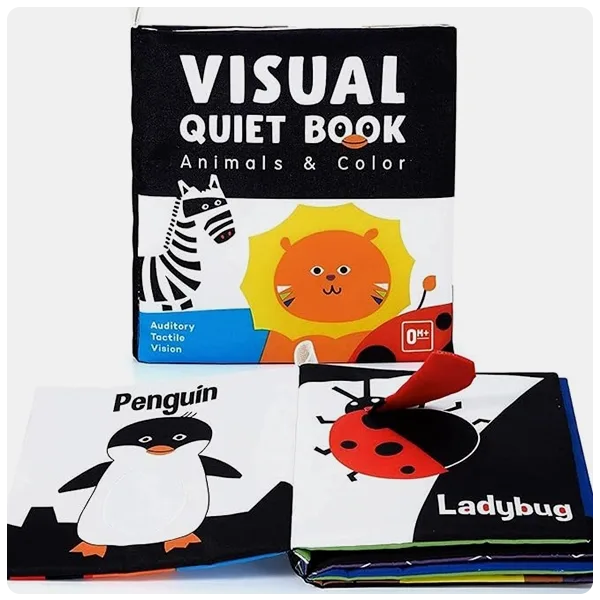 beiens Visual Quiet Book