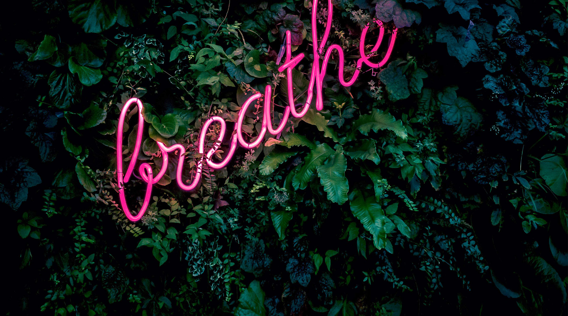 pink neon breathe sign hung in grennery 