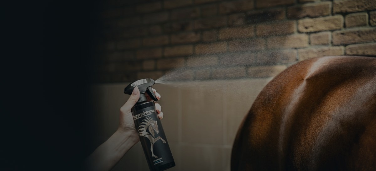 magento-pharmahorse-highlight-dark.jpg