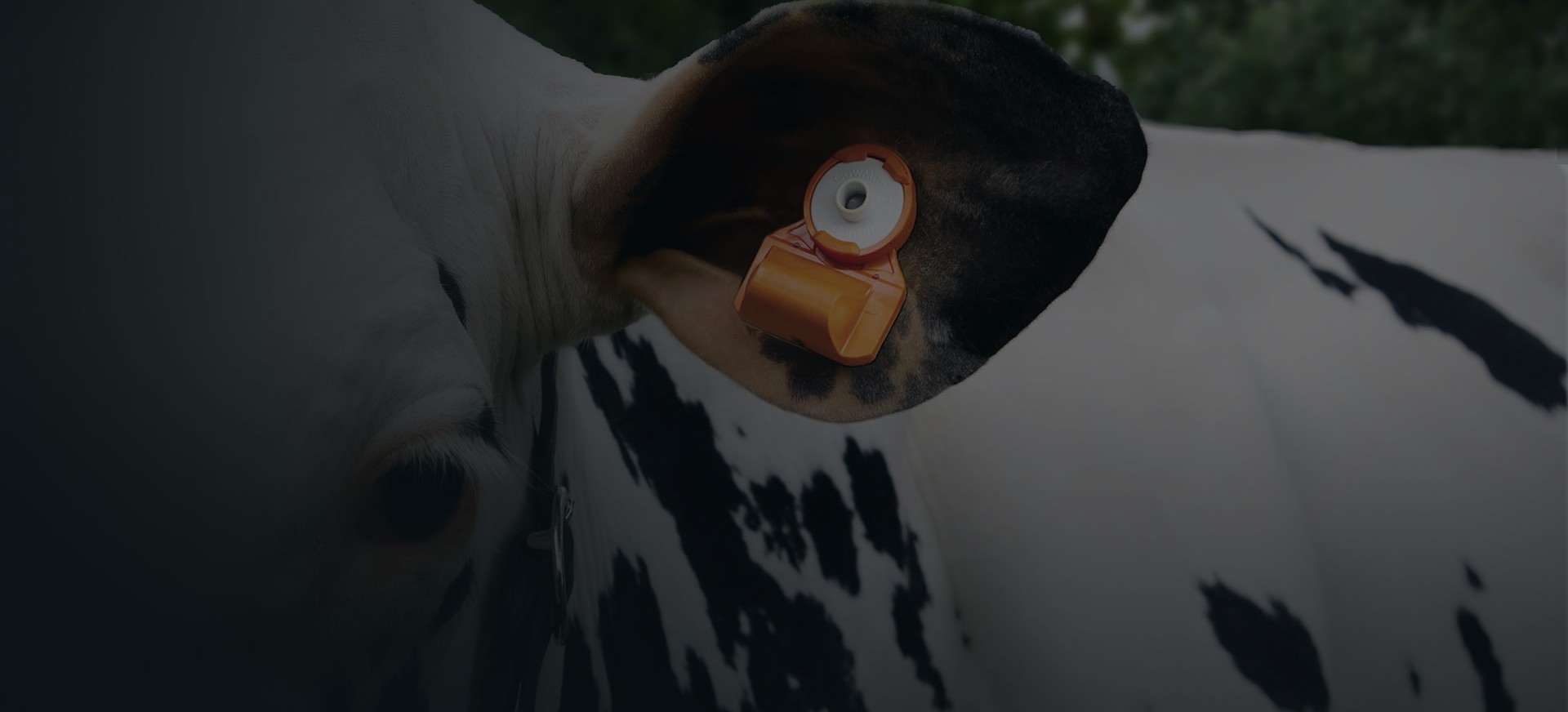 pardot-cowmanager-highlight-dark.jpg