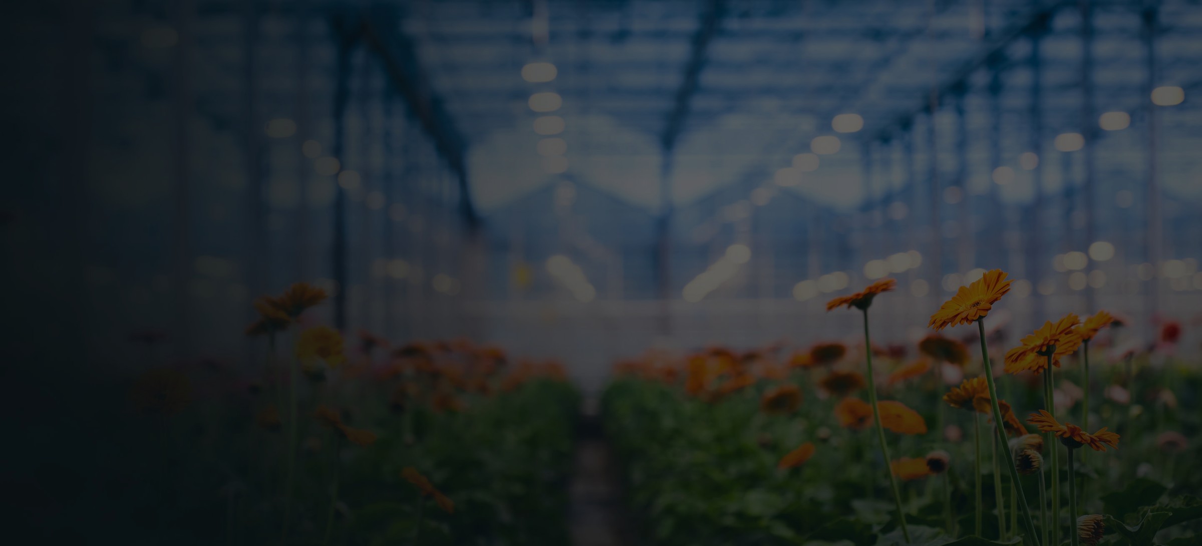 magento-wageningen-highlight-dark.jpg