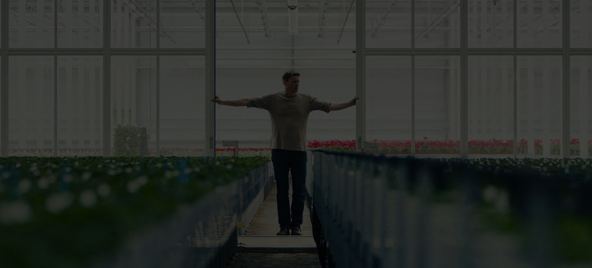 desch-plantpak-highlight-dark.jpg