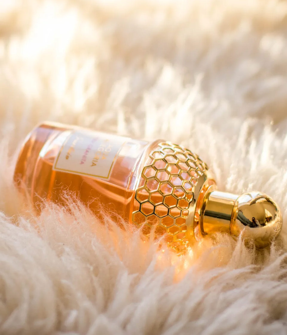 parfumerie_-_teaser_2.jpg