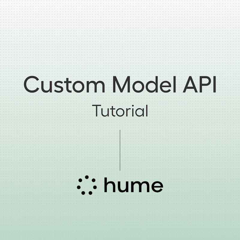 Custom Model API Tutorial