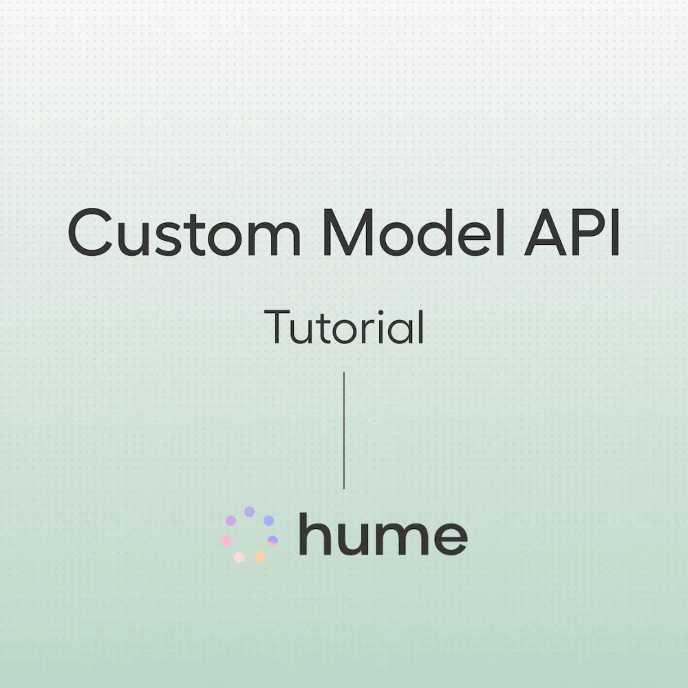 Custom Model API Tutorial