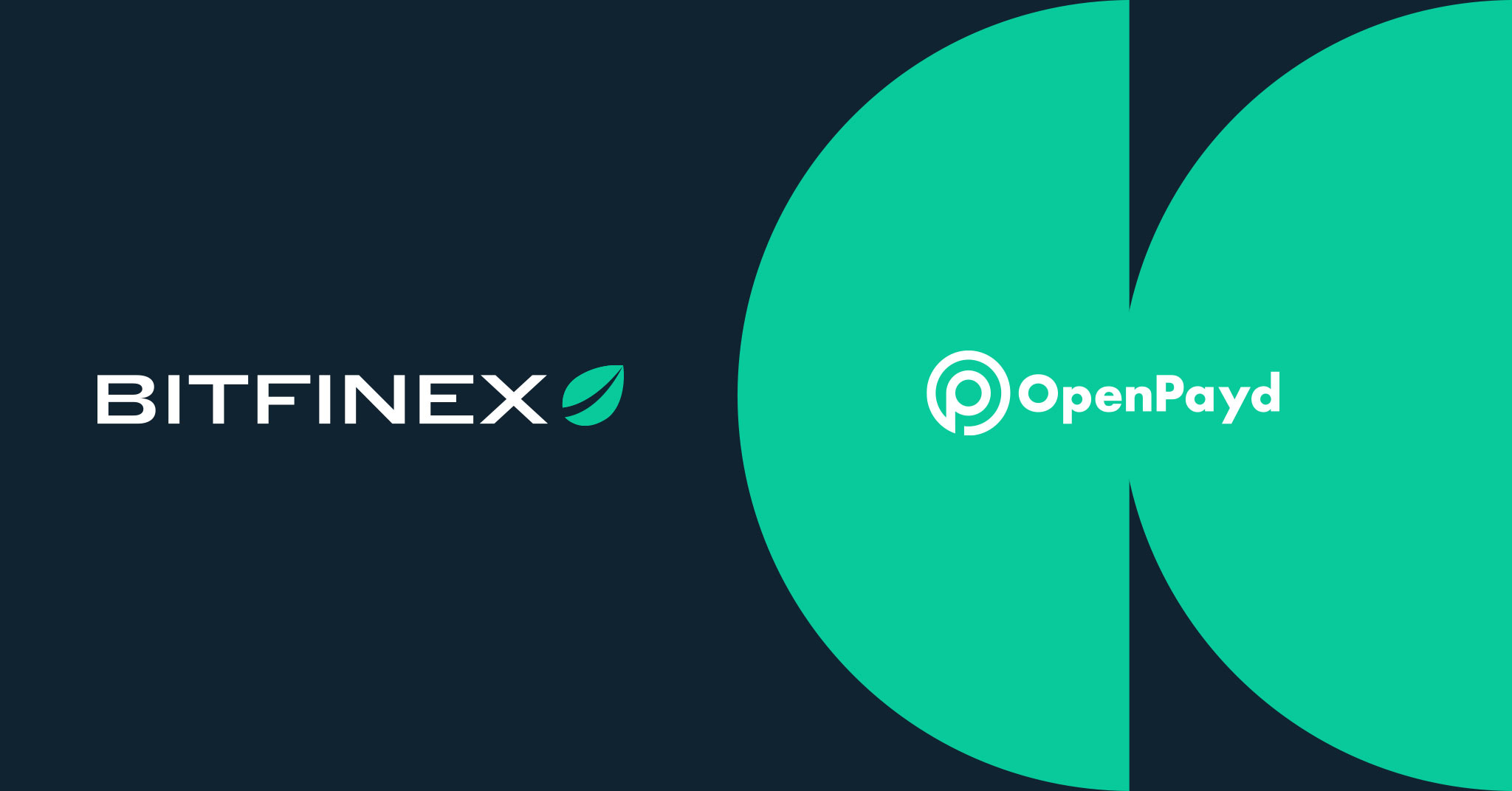 Bitfinex Case Study by OpenPayd