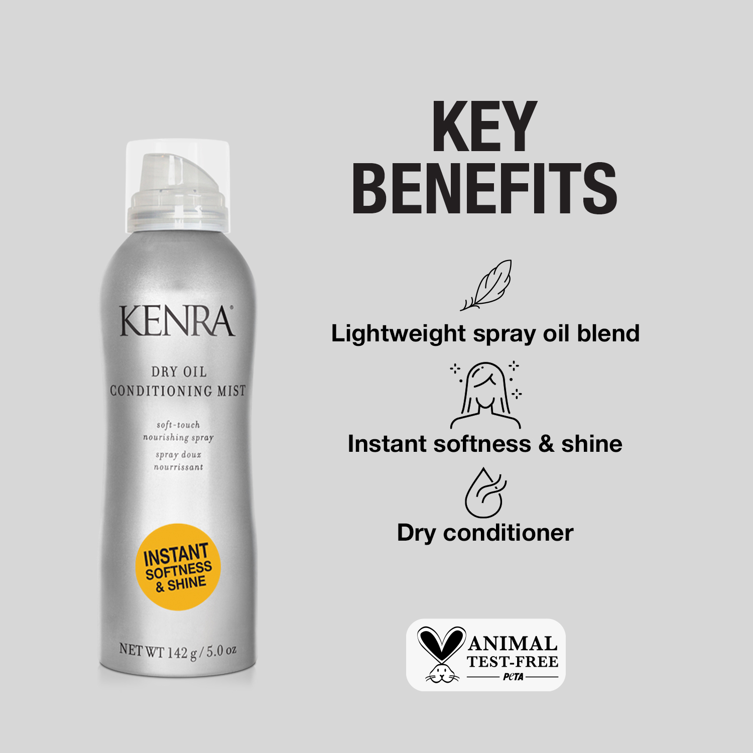 Dry oil conditioner Kenra Infographic