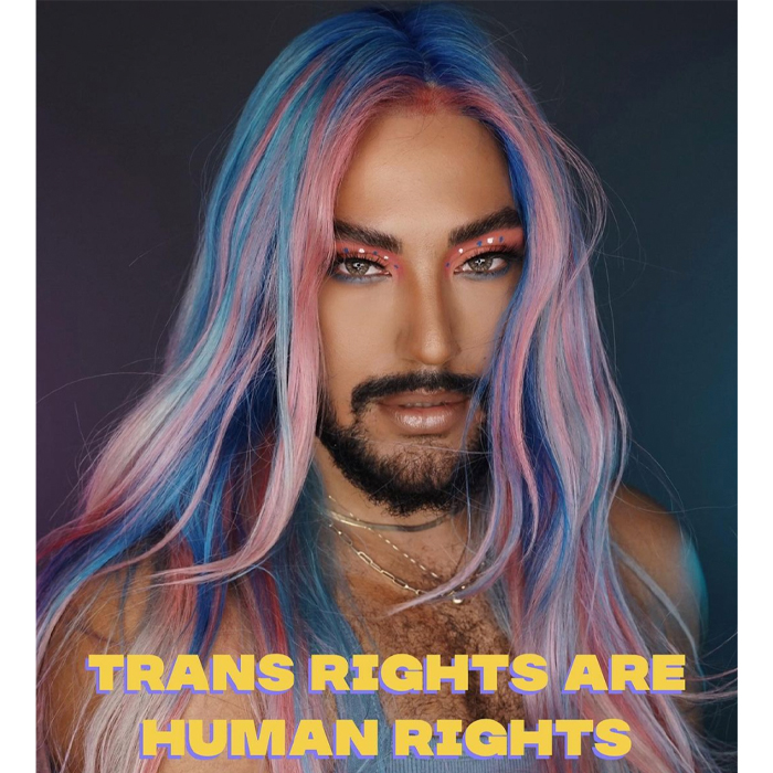 pride blog trans