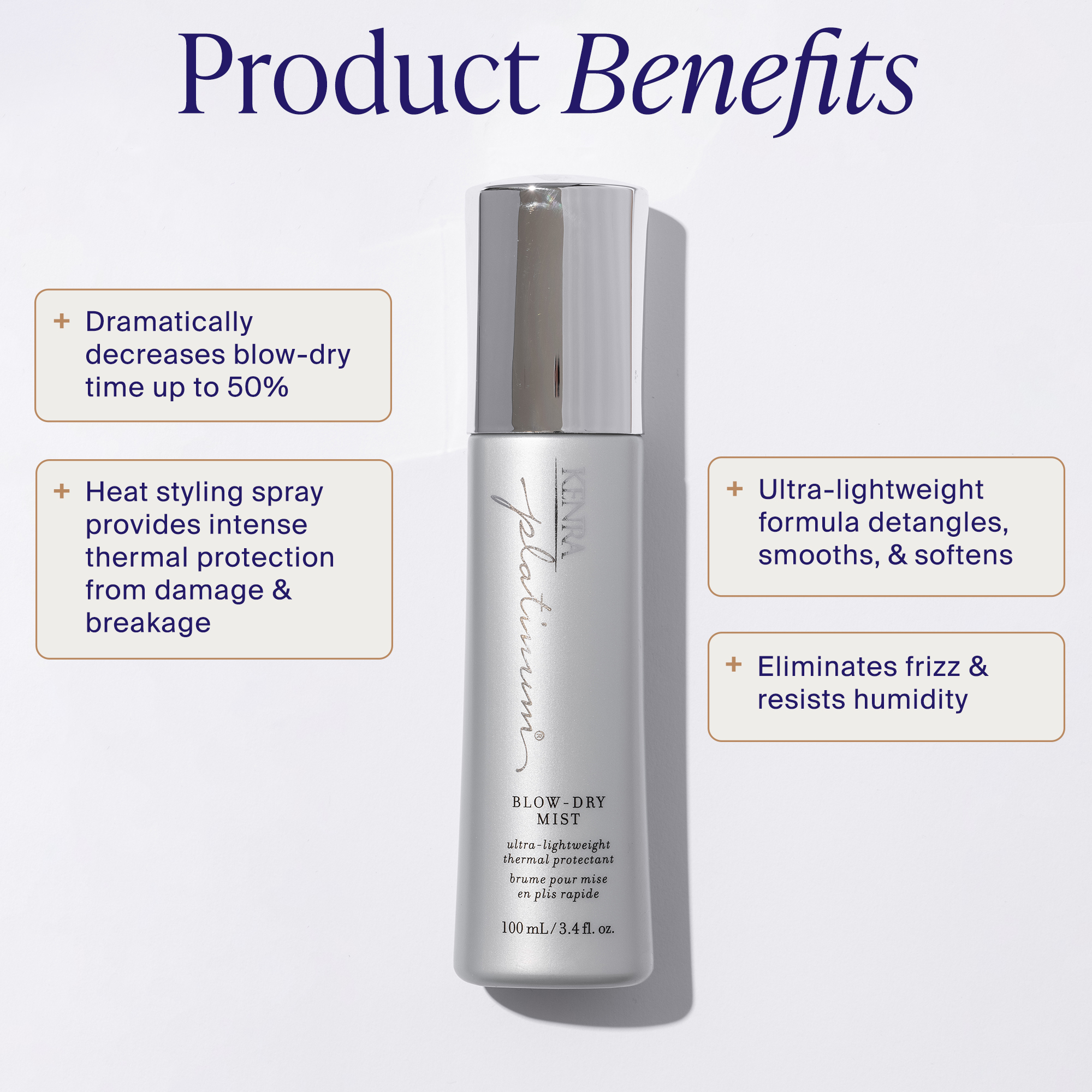 Blowdry mist Infographic