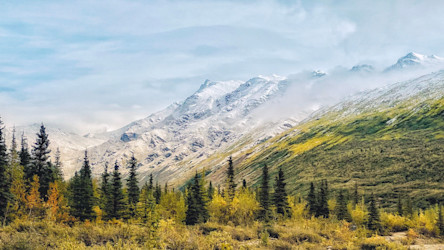 Denali rising behind autumn tundra