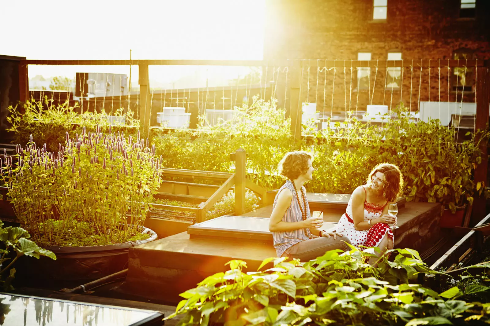 Rainwater Harvesting System BMI Malaysia