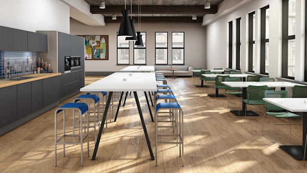 sustainable office design and natural light
