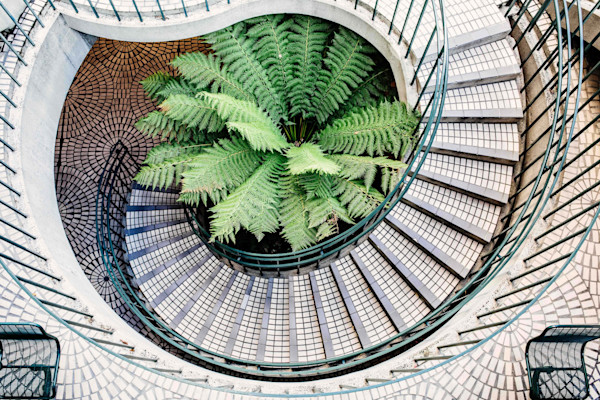 biophilic office