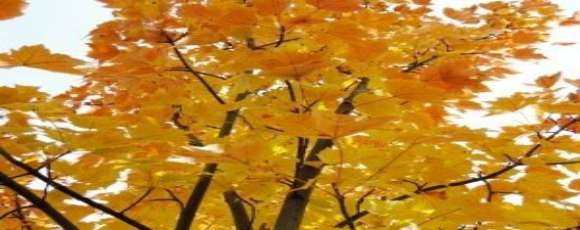 Modern office furniture product from StrongProject