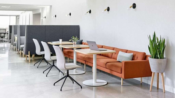 orange conference couch and office color psychology with acoustic furniture and biophilics in an open office layout
