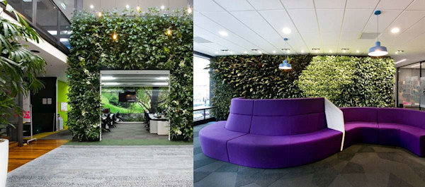 How to bring biophilic design elements into your office