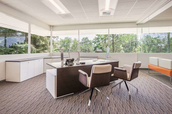 executive office with a modern executive desk and modern versatile chairs
