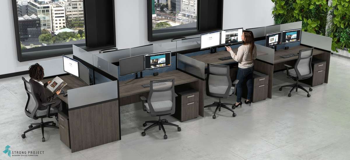 2 women in modern cubicle with greenery