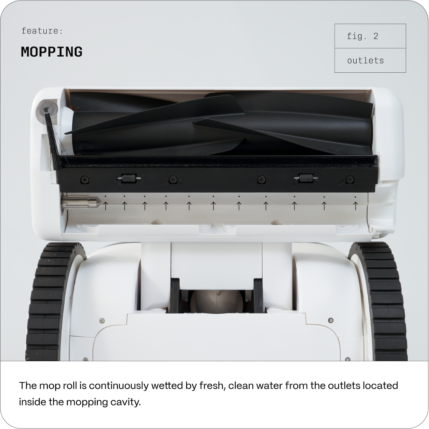 Feature  Mopping 2