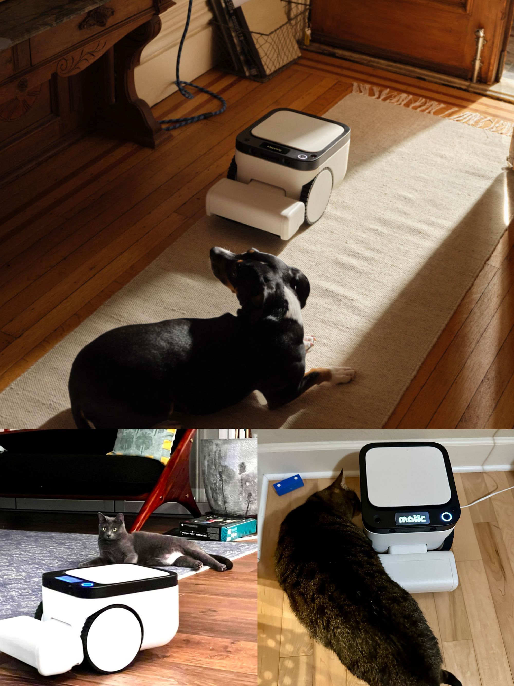 Images For Blog