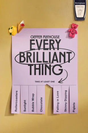 Every Brilliant Thing Tickets