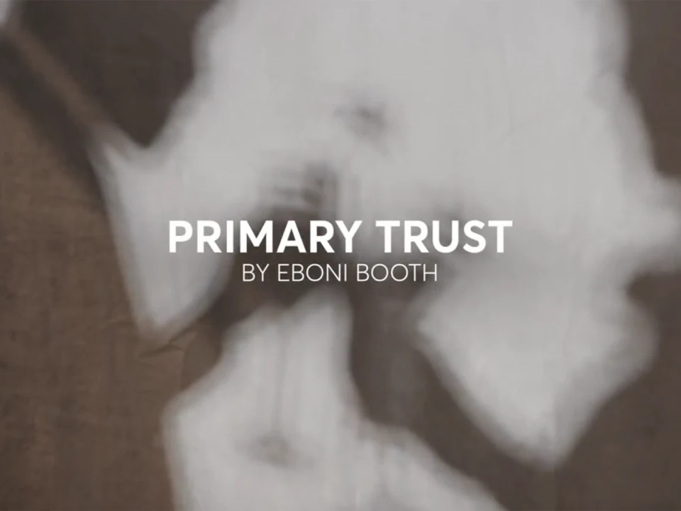 PRIMARY TRUST: What to expect - 1