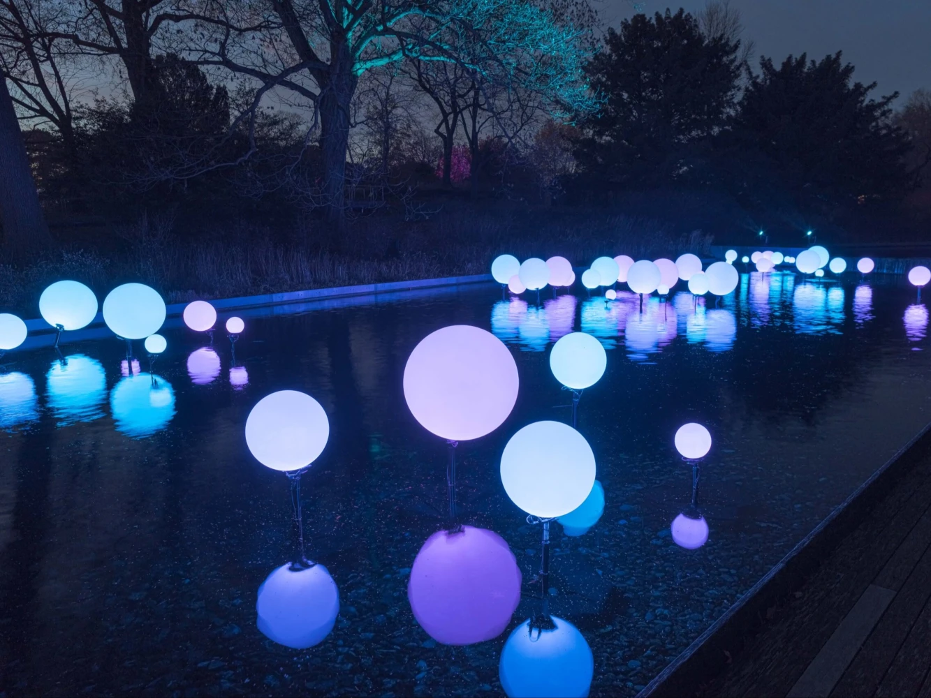 NYBG GLOW: An Outdoor Color & Light Experience: What to expect - 5