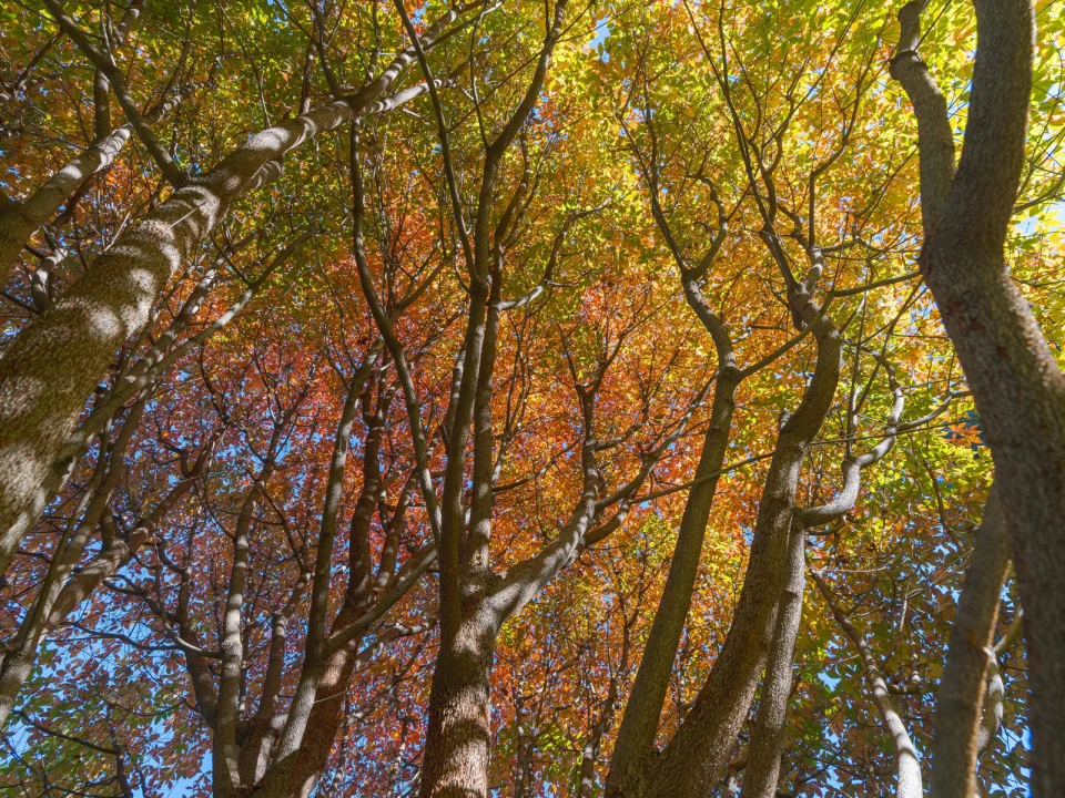 Production shot of Fall-O-Ween - Product Media in New York..