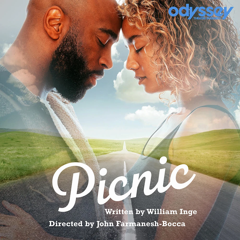 Picnic: What to expect - 1