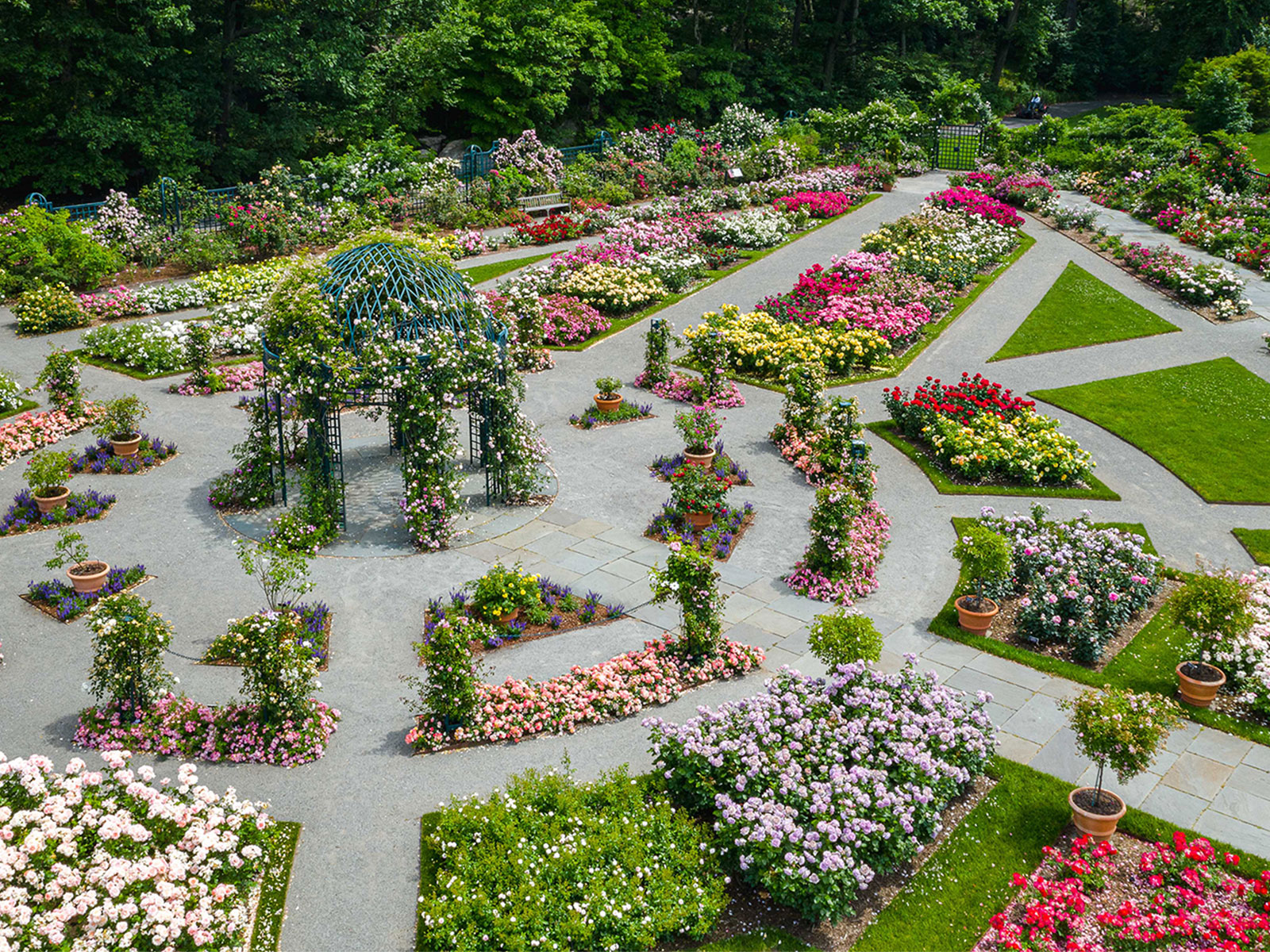 …things come to thrive…in the shedding…in the molting…: What to expect - 1