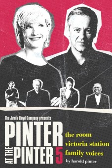 Pinter Five | The Room / Victoria Station Tickets