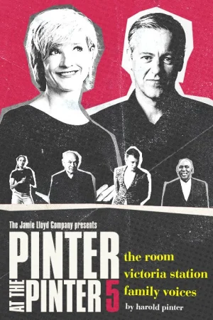 Pinter 5: The Room / Victoria Station / Family Voices Tickets