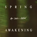 Spring Awakening