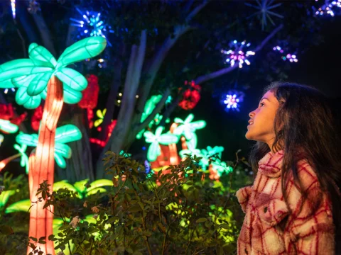 L.A. Zoo Lights: Animals Aglow: What to expect - 2