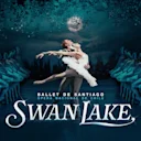 Ballet de Santiago Swan Lake