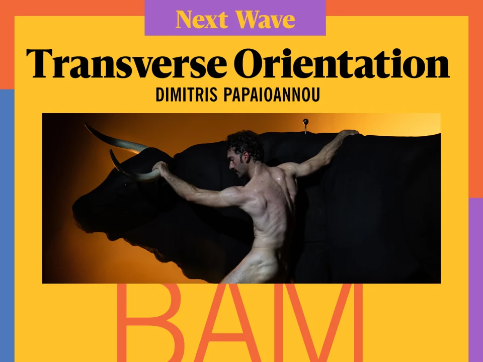 Transverse Orientation: What to expect - 1