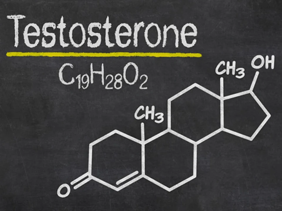 ExPats Theatre: Testosterone: What to expect - 1