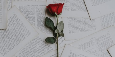 Photo credit: Red rose on paper (Photo by Annie Spratt on Unsplash)