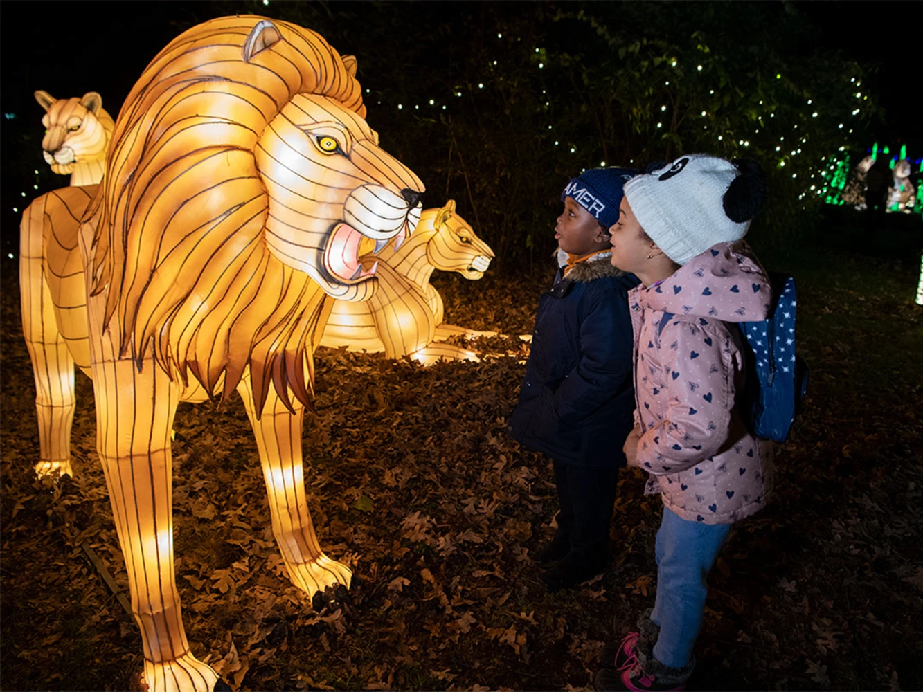 Bronx Zoo Holiday Lights: What to expect - 3