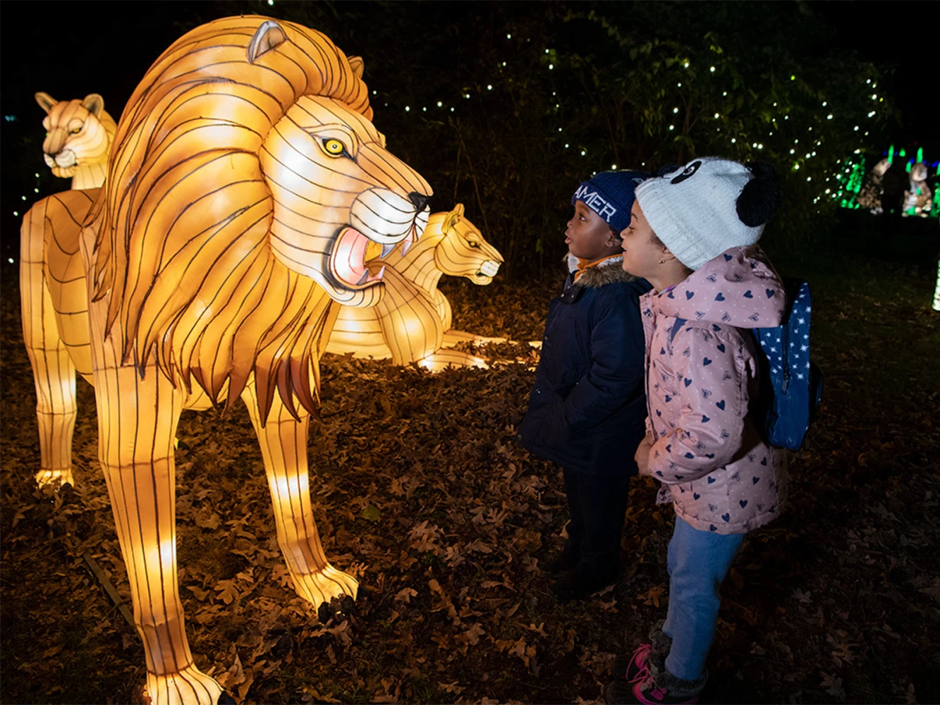 Bronx Zoo Holiday Lights Tickets Bronx TodayTix