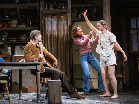 Grey House on Broadway starring Laurie Metcalf: What to expect - 2