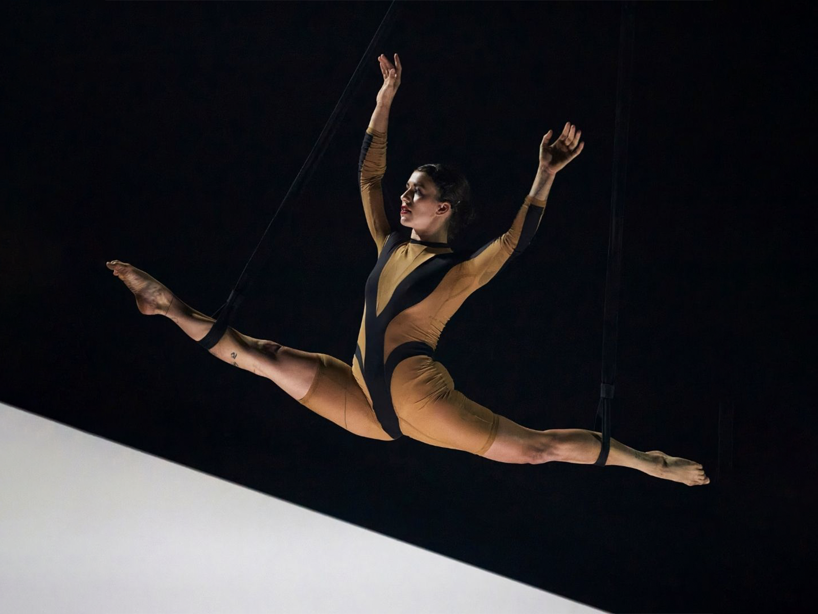 Wolf: What to expect - 1